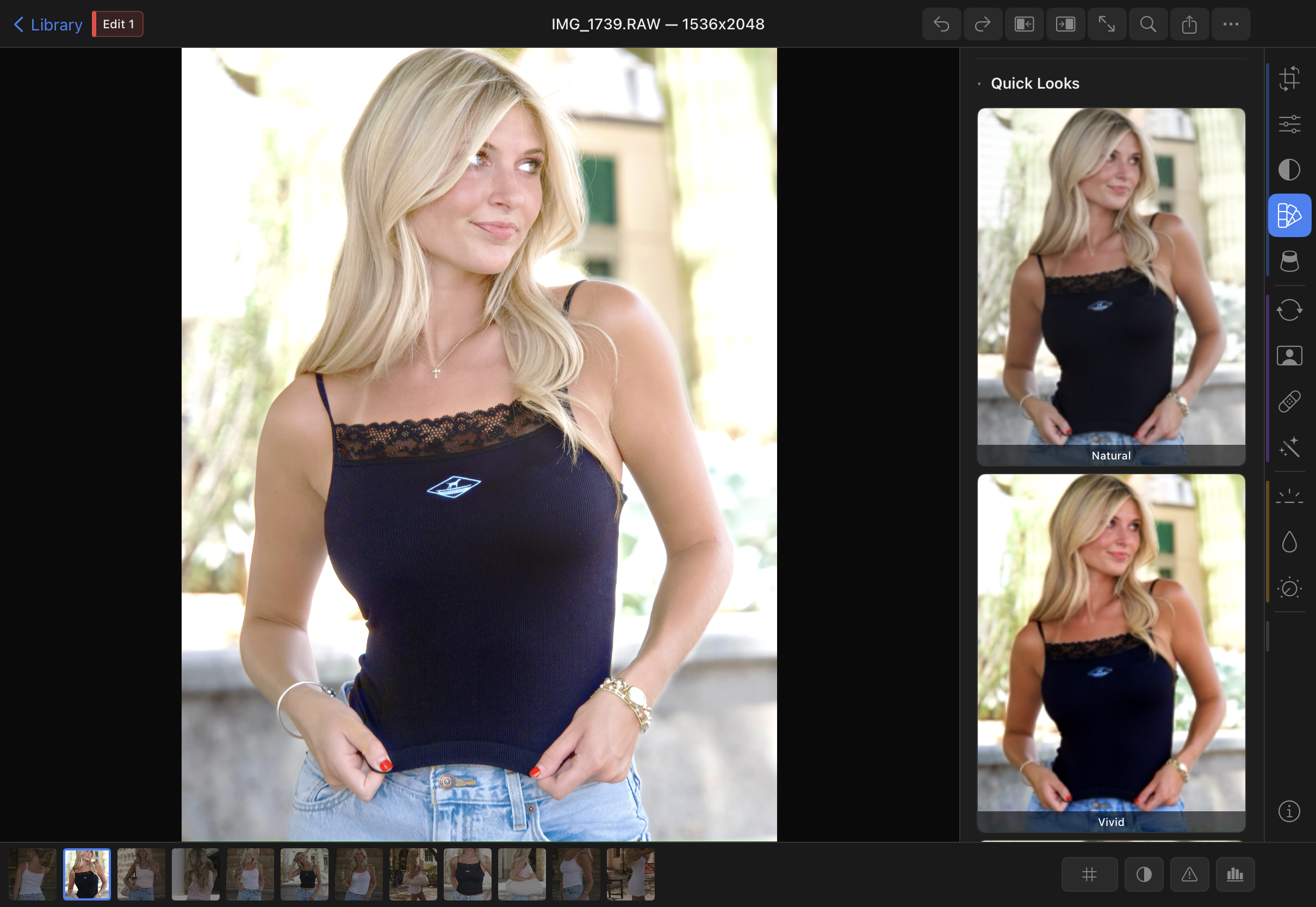 Presets panel showing built-in presets and LUT import